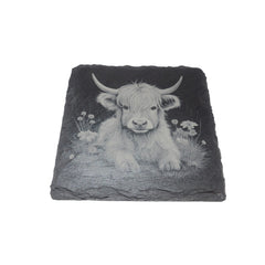 Collection image for: Coaster